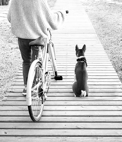Going for a Ride_edited.jpg