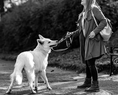 AdobeStock_231135699_edited_edited.jpg