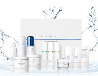RENECELL 13Set