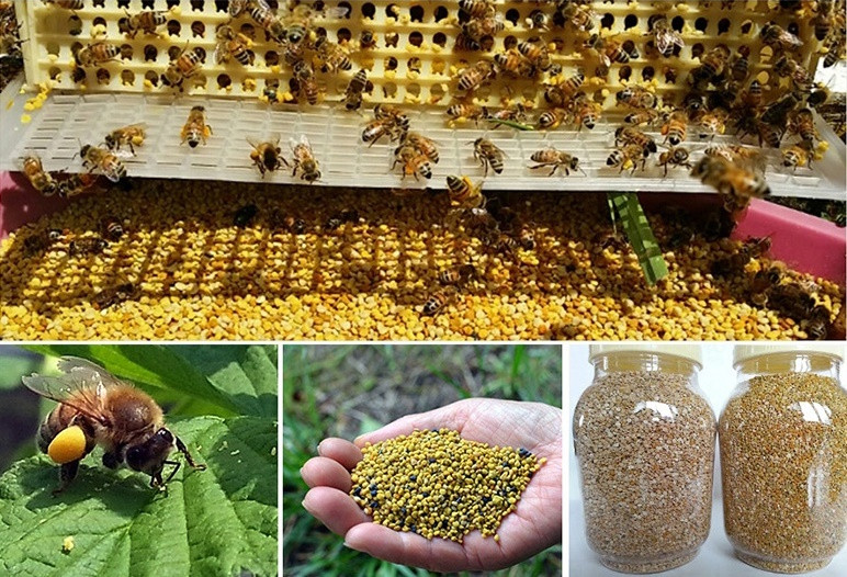 Thumbnail: [Onggojip] Akasia madu , Berbagai madu 2.4kg