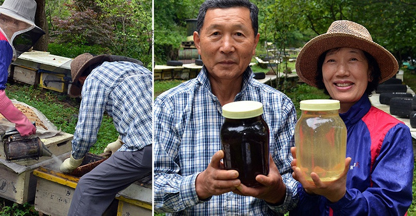 Thumbnail: [Onggojip] Akasia madu , Berbagai madu 2.4kg