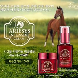 ARIESYS