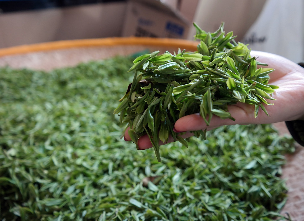 Thumbnail: [Dahyangjeddah. Beophyang] Sibaeji TEH(80g)