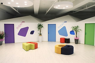 RENZULLI Center