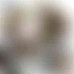 Experience Adventure Advent Calendar