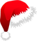 NAVIDAD (GORROS) (27).png