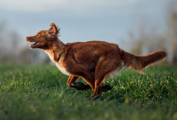 Kursstart: Back in a flash