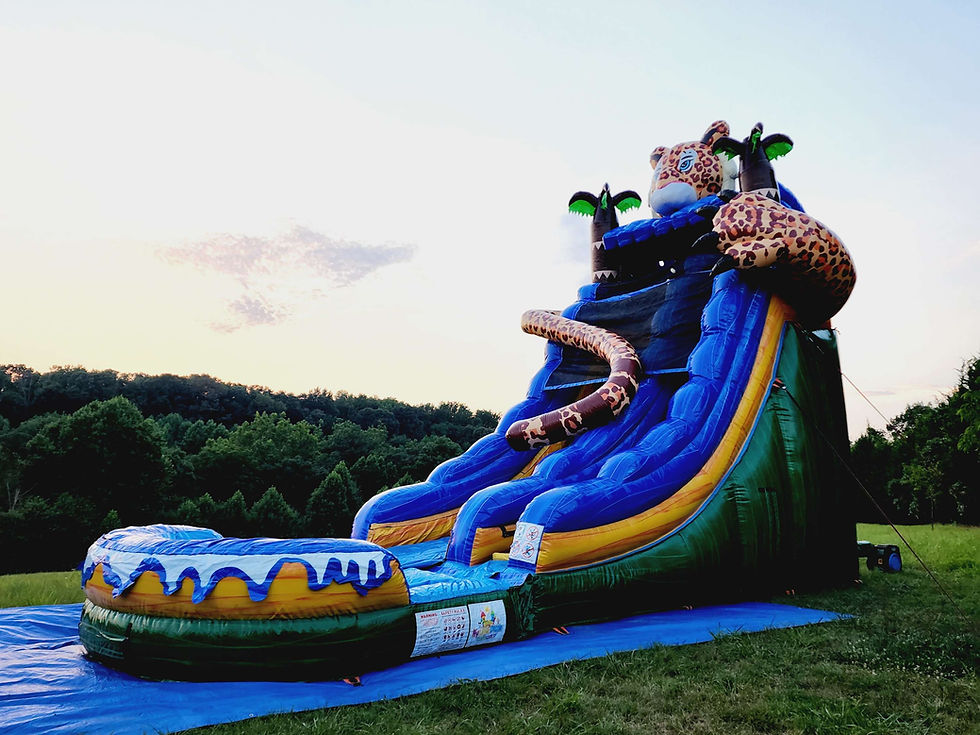 Thumbnail: Leopard waterslide 