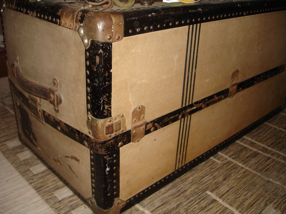 BAÚ DE VIAGEM / ARMÁRIO