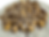 NUTELLINE