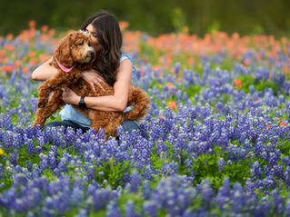 Visiting Dallas-Fort Worth during Spring Break? Here's a list of things to do