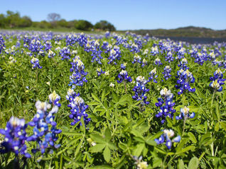 Hidden Gems Across Texas You’ll Wish You Knew Sooner