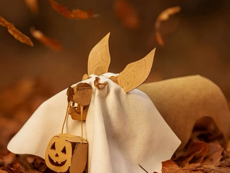 Halloween 2025 : 5 idées DIY pour une déco créative, durable et pleine de charme 🎃