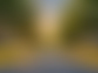 Best Neighborhoods in Granbury, Texas