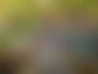 9 Free Date Ideas in San Antonio for Couples