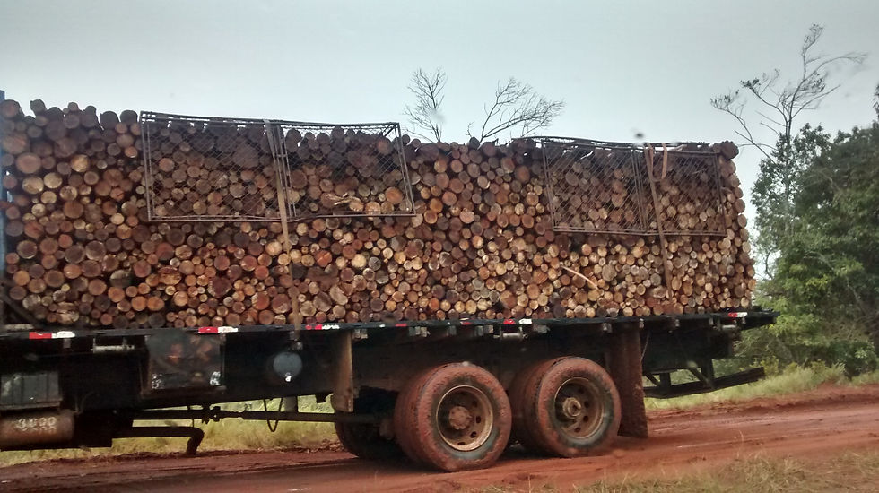TRANSPORTE para Indústrias