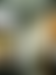 自我照顧：從身心療癒到日常關愛的全方位實踐