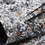 Thumbnail: Bugatti floral print shirt with BD collar  SS24 