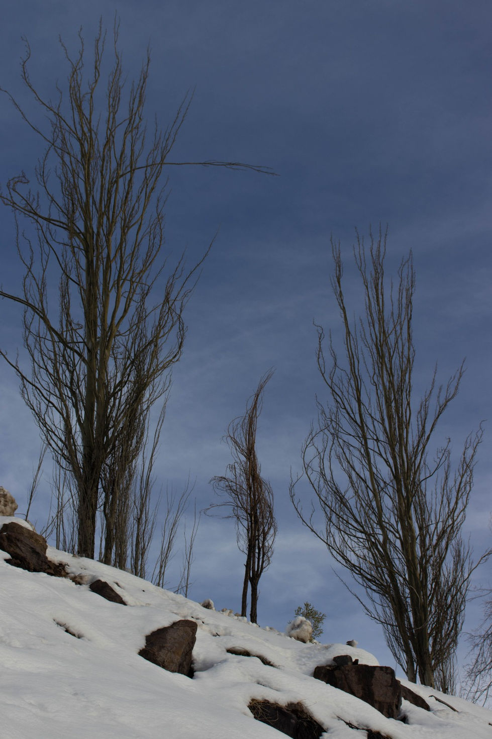 Neve - Valle