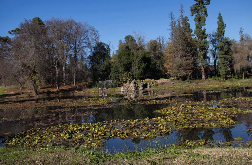 Lago - Vinicula