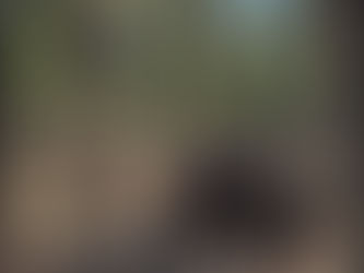 Belöningsbaserad träning räcker inte...