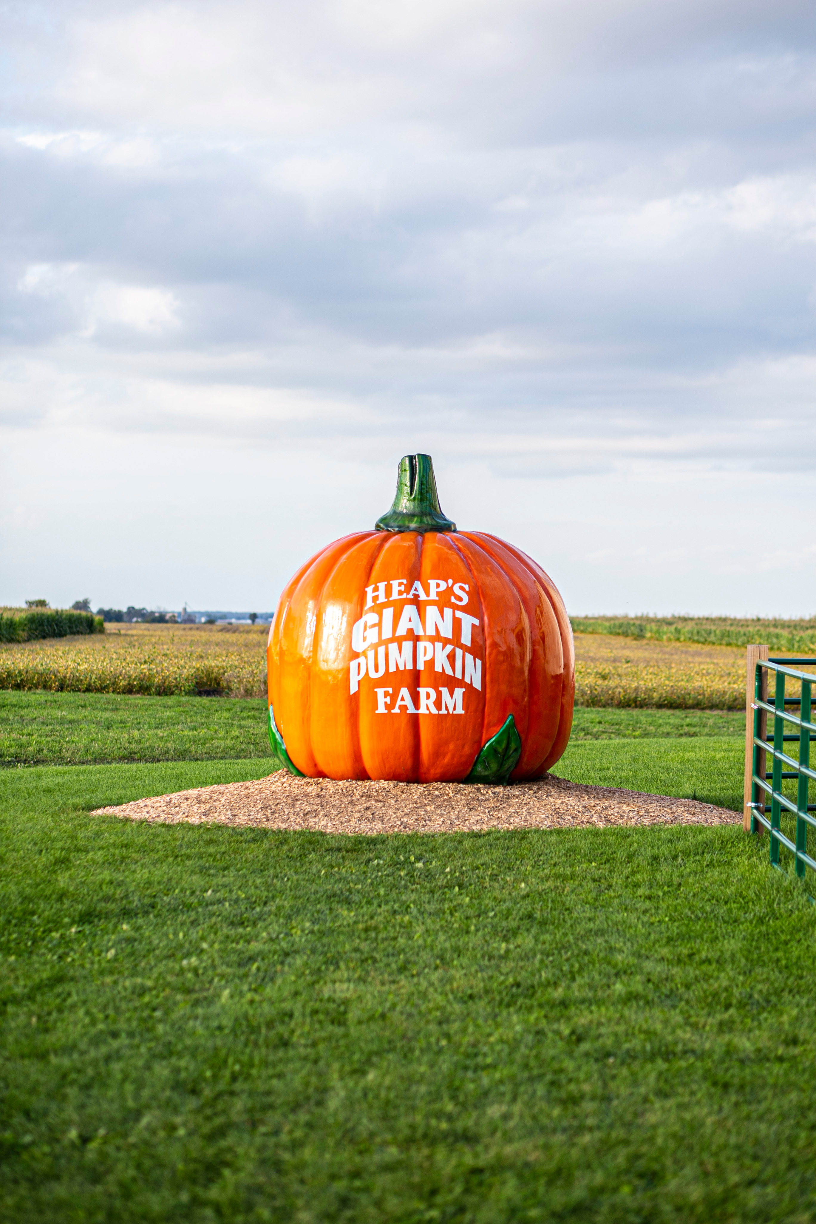 Pumpkin Farm Field Trips Heap's Giant Pumpkin Farm Minooka, IL