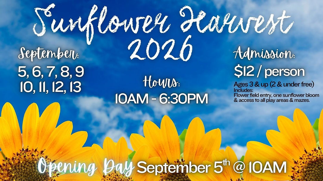Sunflower Harvest 2026.jpg