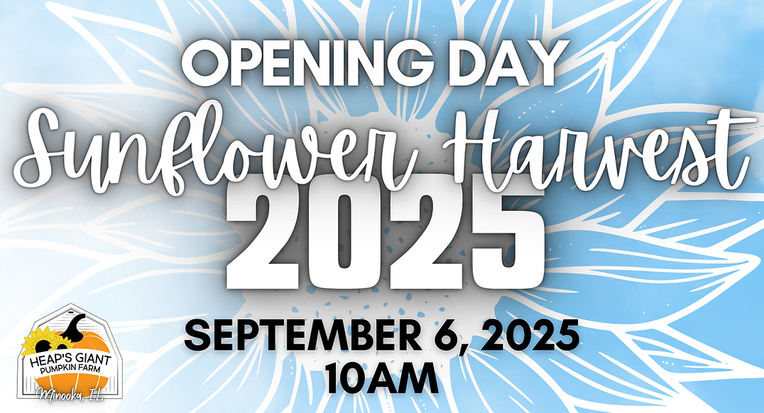 Copy of Copy of Copy of Sunflower Harvest (2).png