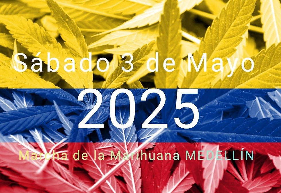 Marcha Mundial De La Marihuana - COLOMBIA