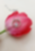 20230502_113402_edited.png