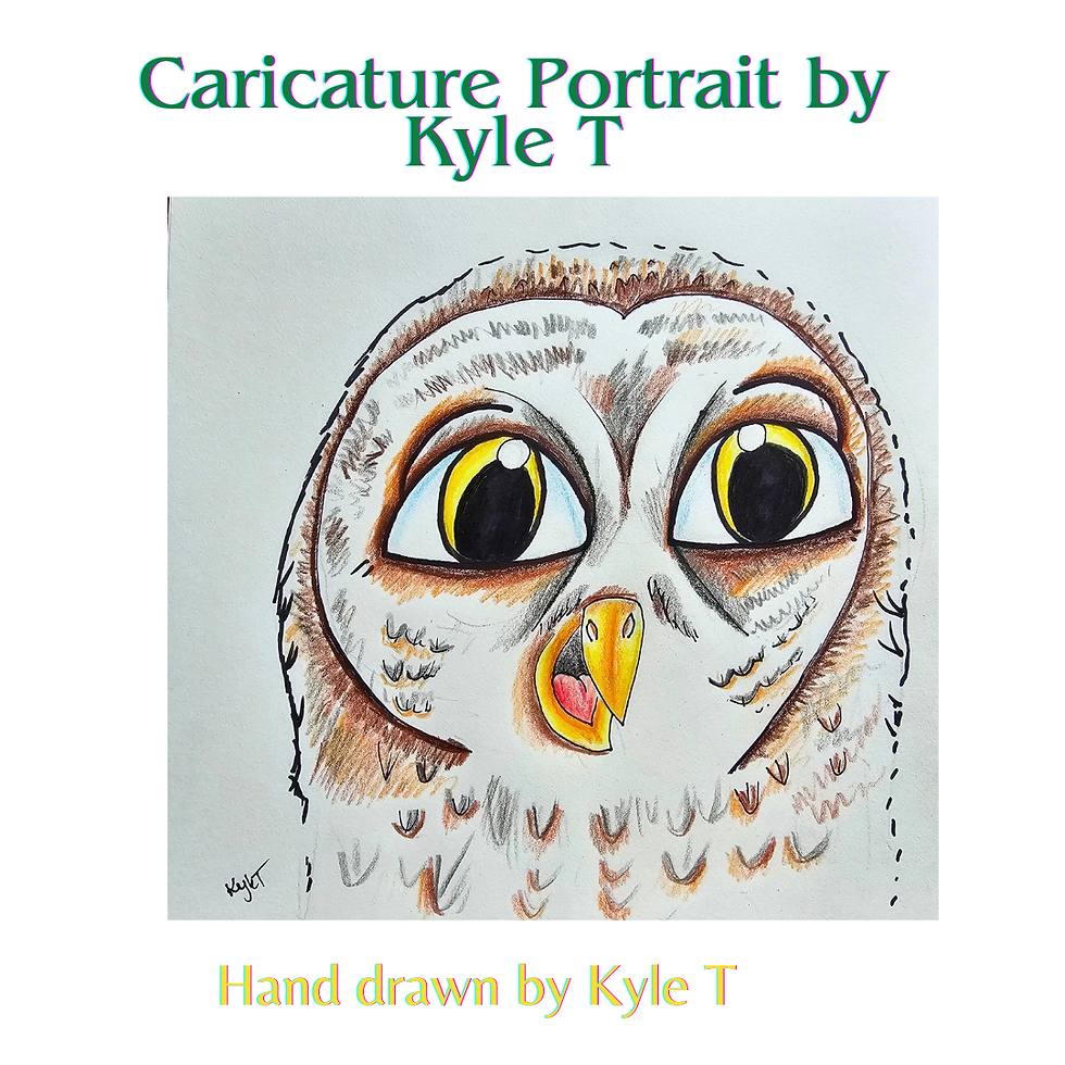 Owl Caricature Portrait
