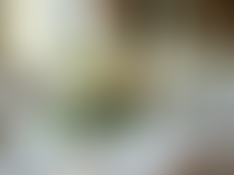 Timeless Wedding Styles for Australian Couples