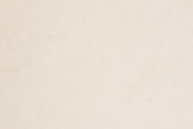 Paper Texture_edited.jpg