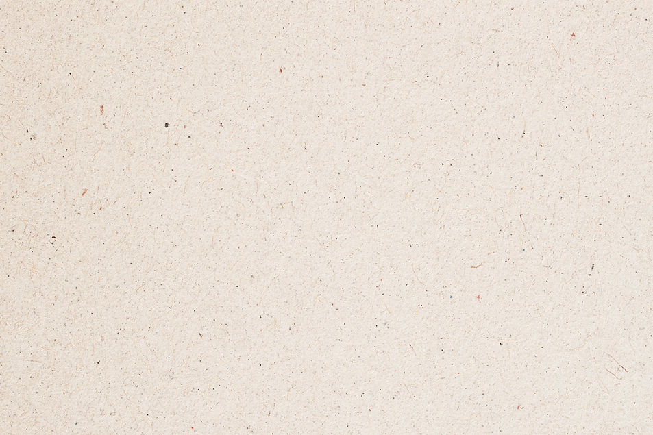 Paper Texture_edited.jpg