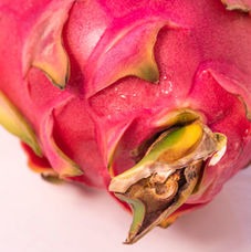 Food Práctica_63.JPG