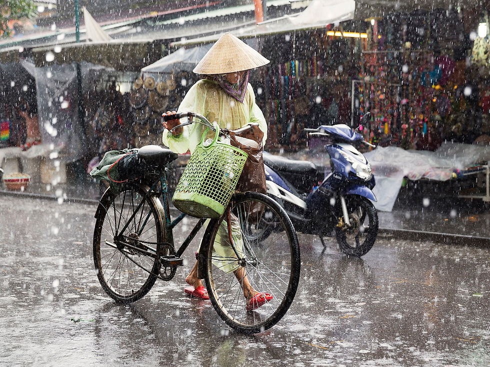 What To Do In The Wet Season In Vietnam 