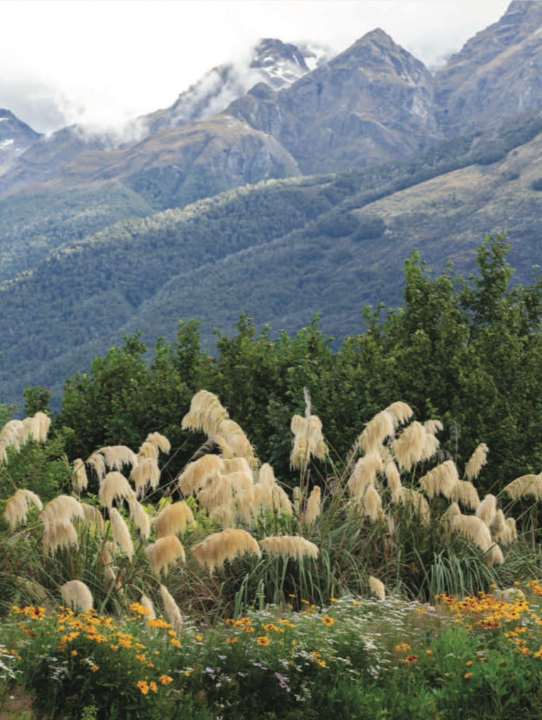 Wild mountain landscape with misty peaks, green trees, tall pampas grass, and colorful wildflowers in the foreground