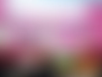 Entrega Padrón y Licencias más de 200 permisos a comerciantes del Tianguis de la Riviera