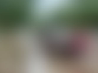 Protección Civil atiende afectaciones por lluvias en Bahía de Banderas