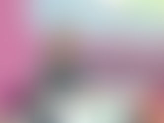 Entrega Lía Castro un domo en escuela primaria de la localidad de San Francisco