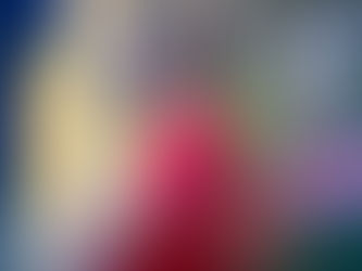 Finanzas sanas y recaudación un emblema más de la administración municipal de Bahía de Banderas