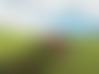 Nebulizarán con avioneta localidades de Bahía de Banderas para combatir el dengue