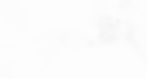 kerri-shaver-xepikEyPgmI-unsplash_edited_edited_edited_edited_edited.jpg