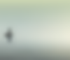 Untitled design (30).png