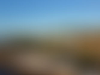 Preparing for the Royal Highland Show: Premium Marquee Solutions for Every Stand Size