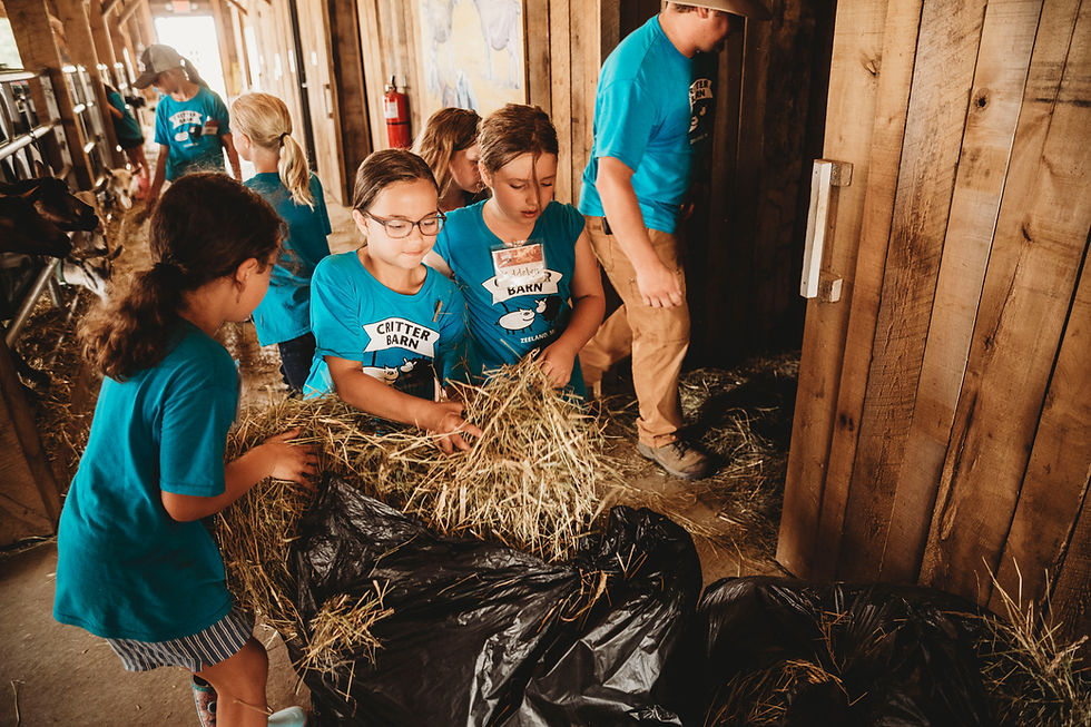 Animal Academy: 3rd Grade - 5th Grade