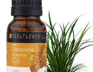 Citronella and Pumpkin Seed Essential Oils