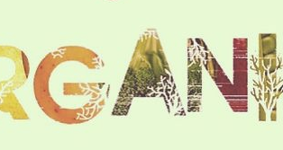 10 reasons why organic food is better for you