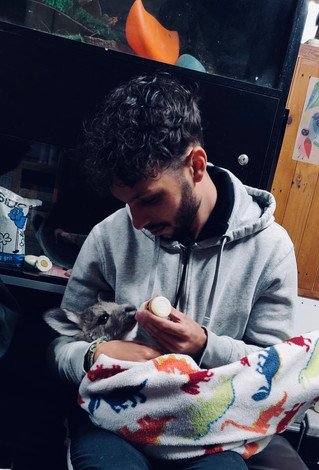 Nourrir les bébés kangourous