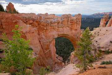 Bryce3.jpg Bryce Canyon Utah